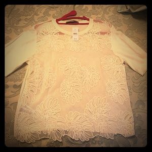 Ann Taylor Loft Short Sleeve Lace Front Top